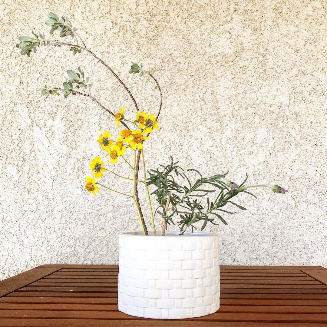 An Earlier Desert Ikebana Arrangement. Plants collected from my Mojave Garden: Texas Sage, Lavender, and Brittlebush.