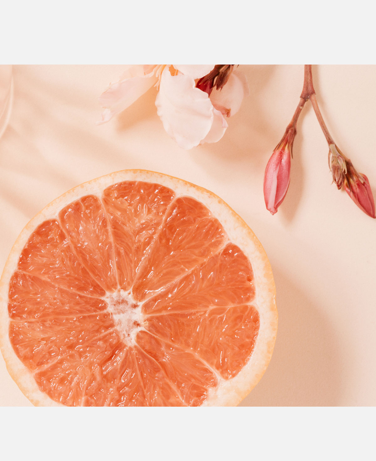 An orange slice and flowers