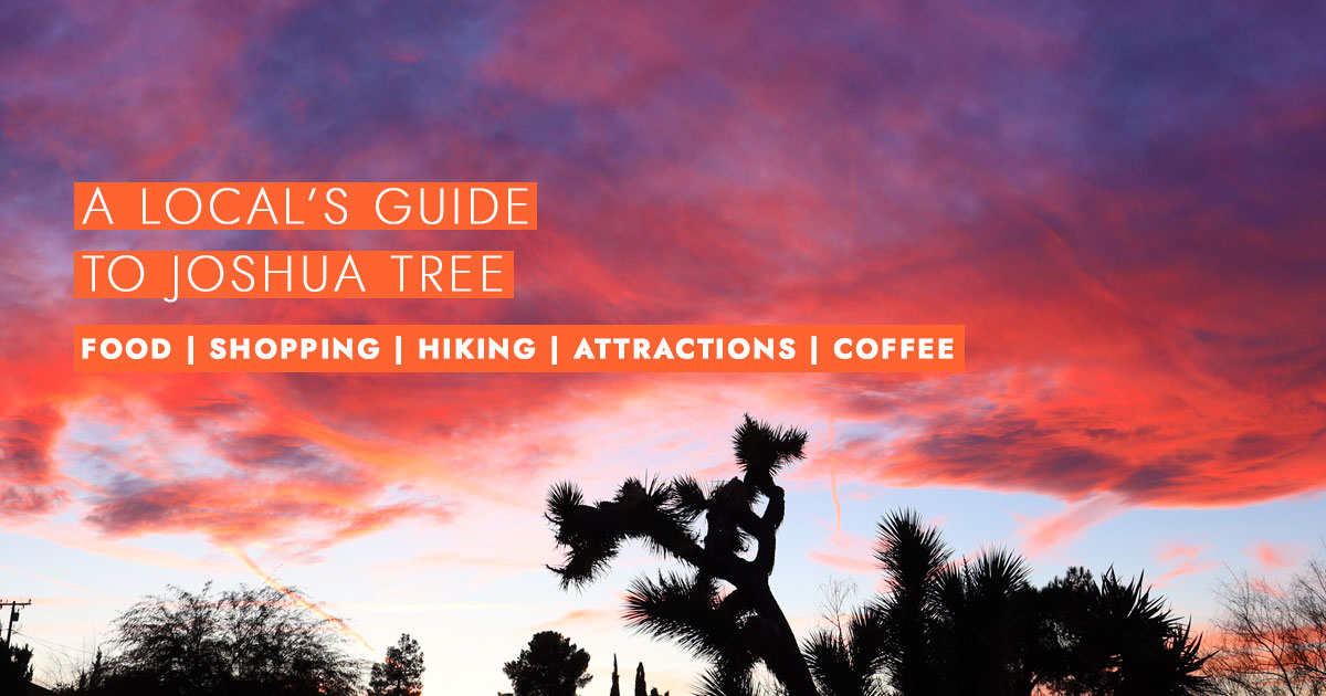Lisa Burford Blog Local's Guide to Joshua Tree