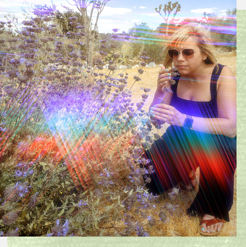 Lisa Burford, a woman with shoulder length blonde hair and wearing sunglasses, kneels next to a Cleveland Sage shrub. She is slightly touching one of the flower stalks and sniffing the scent.