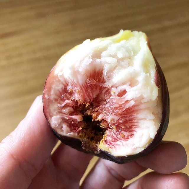 Fig Fruit Cut Open