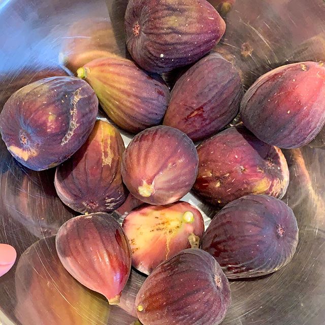 Brown Turkey Figs