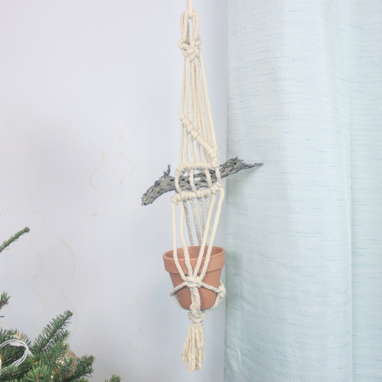 Macrame Cholla Skeleton Hanging Planter