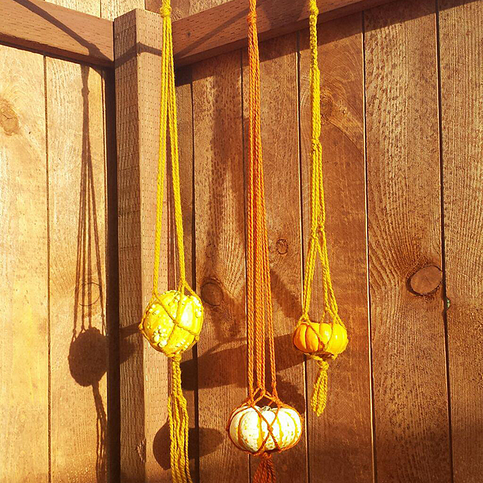 Macrame Hanging Gourds