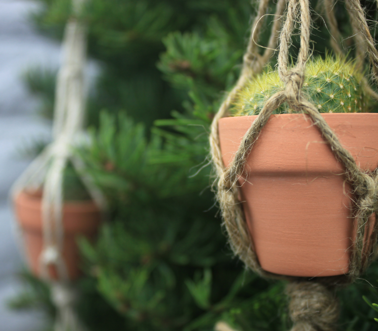 Mini Macrame Hanging Planter Ornaments