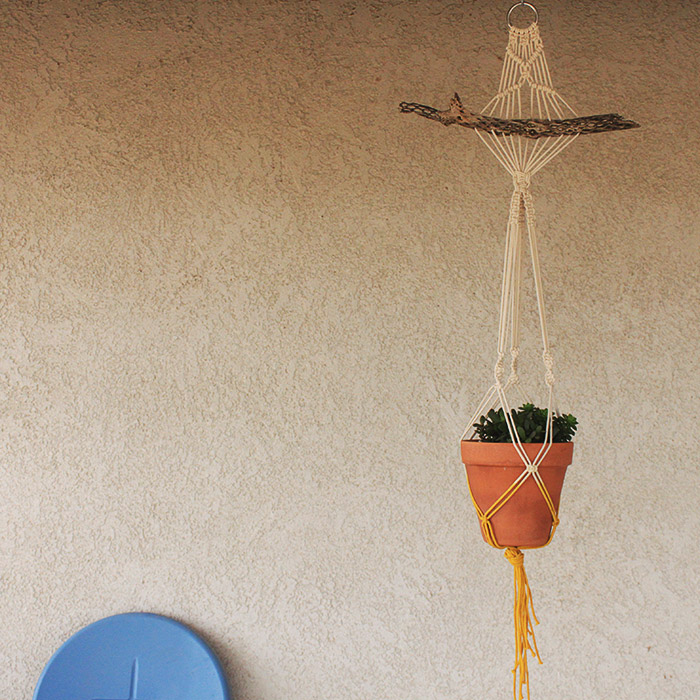 Macrame Hanging Planter with Cholla Skeleton